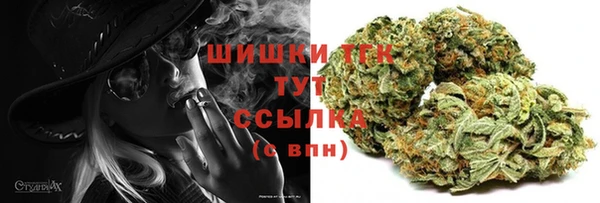 дживик Заводоуковск