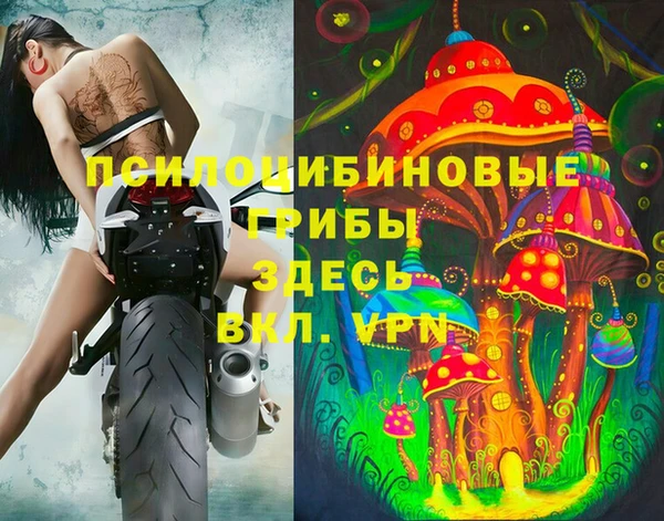 дживик Заводоуковск