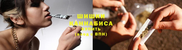 ГАЛЛЮЦИНОГЕННЫЕ ГРИБЫ Заволжск