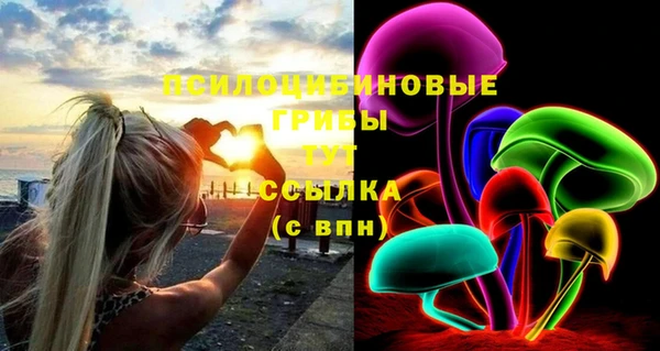 дживик Заводоуковск