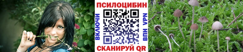 Псилоцибиновые грибы Magic Shrooms  Купить  Кириши 